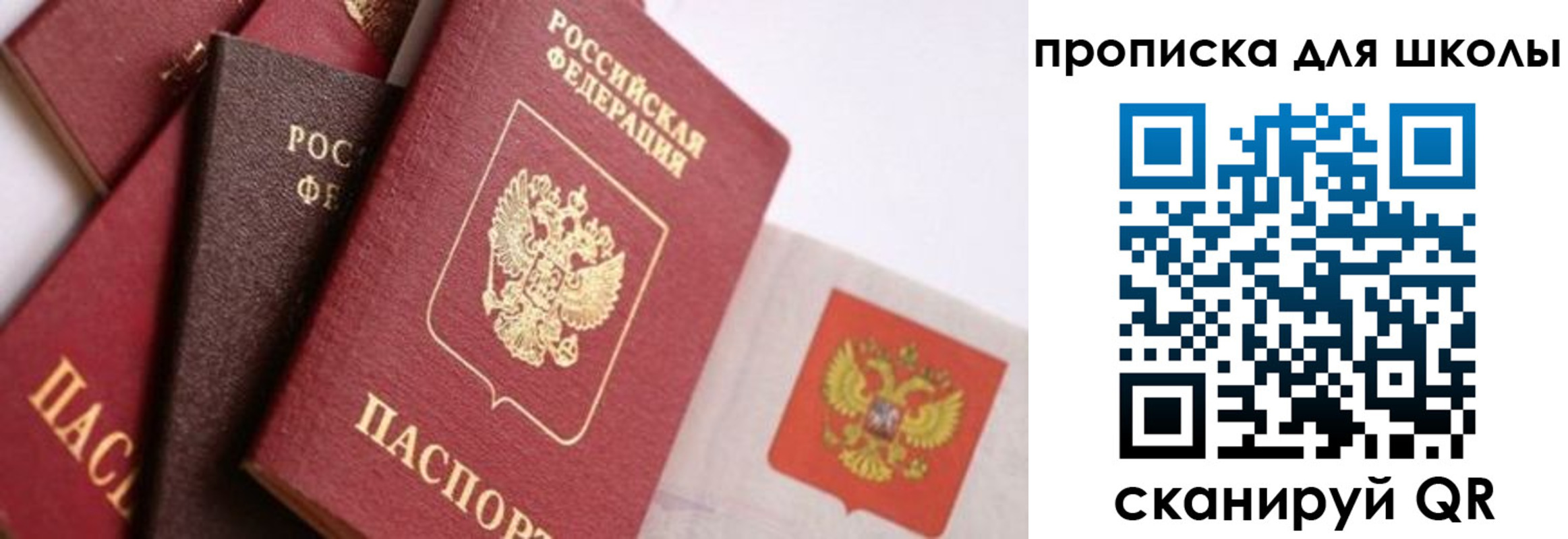 прописка поиск в Новосибирской области